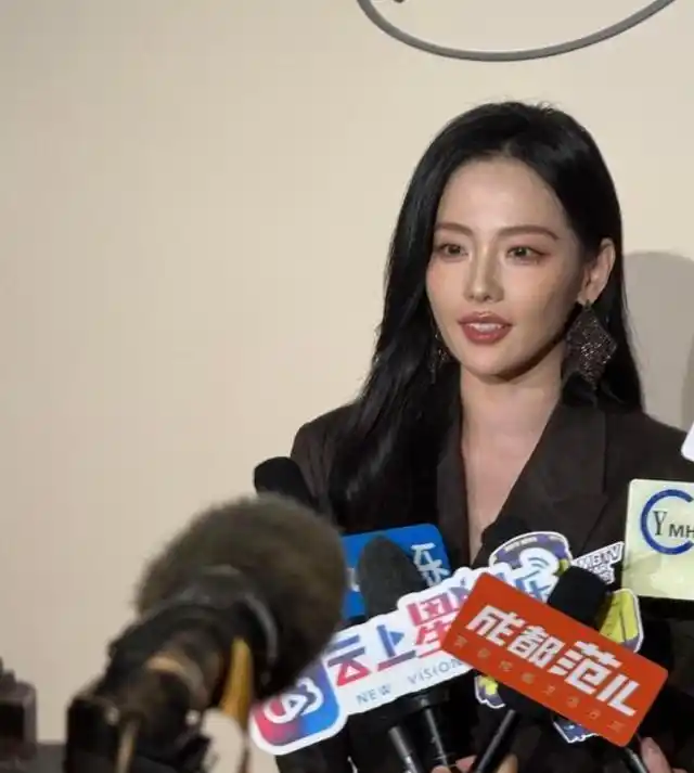 娱乐圈复出的明星_年底黑料明星扎堆复出,_张嘉倪复出事件