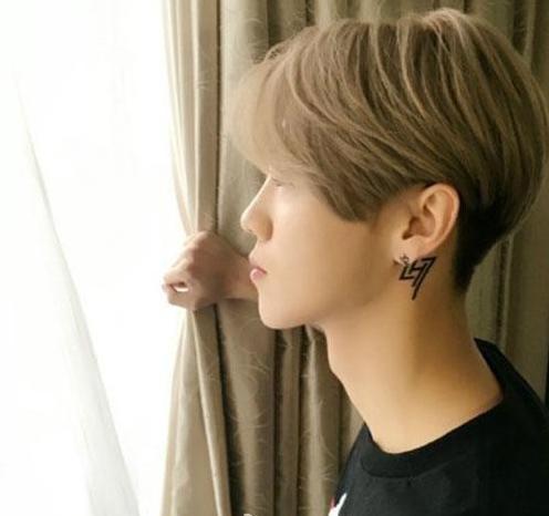 娱乐圈有哪些明星身上有纹身？包贝尔的纹身最霸气